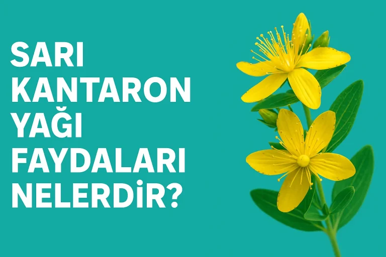 Sarı Kantaron Yağı Ne İşe Yarar? Kullanım Alanları ve Etkileri